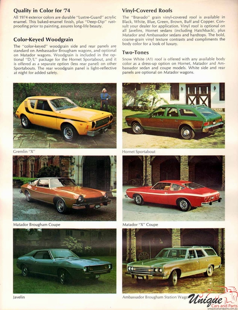 1974 AMC Exterior Color Chart Page 2